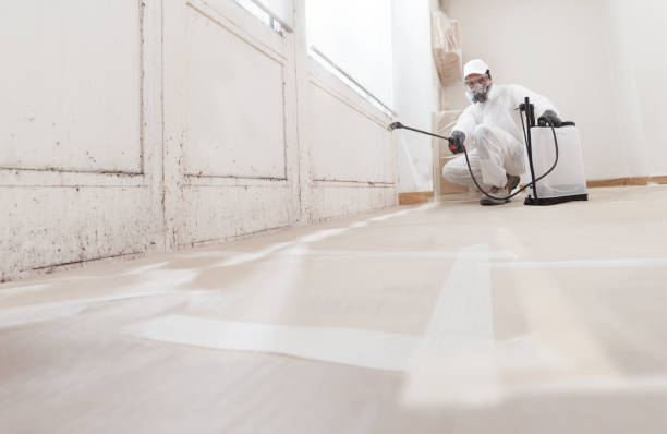 24/7 Emergency Attic Mold Remediation experts in Hamilton, TX